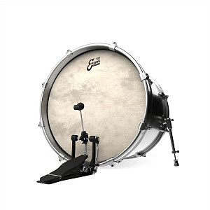 EVANS BD22CT - Пластик 22"