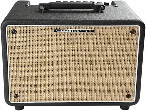 IBANEZ T30II TROUBADOUR - Комбоусилитель для акустической гитары