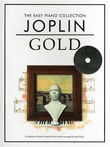 MUSIC SALES CH78782 - Книга с нотами / аккордами для клавишных