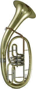 ROY BENSON TH-202 - Тенор
