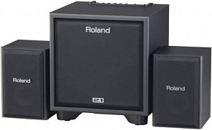 ROLAND CUBE MONITOR CM-110 - Акустическая система