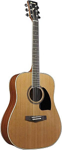 IBANEZ PF17-LG - Гитара акустическая
