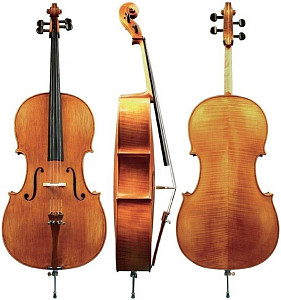 Виолончель 4/4 Gewa Georg Walther