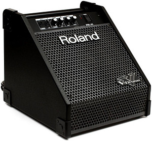 ROLAND PM-10 - Сценический монитор