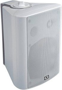 Direct Power Technology WL-150W настенный громкоговоритель