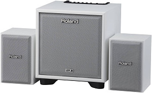 ROLAND CUBE-MONITOR-110-WH - Акустическая система