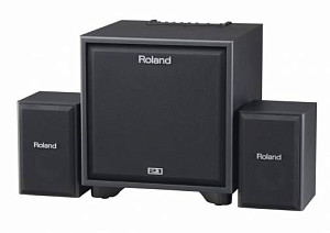 ROLAND CUBE MONITOR CM-220 - Акустическая система