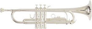 ROY BENSON TR-202 S - Труба