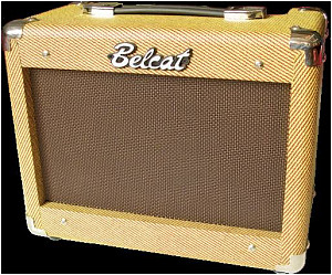 BELCAT V15B - Комбоусилитель для бас-гитары