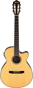 IBANEZ AEG10NII NT - Гитара электроакустическая шестиструнная