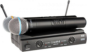 PROAUDIO DWS-204HT* - Радиосистема