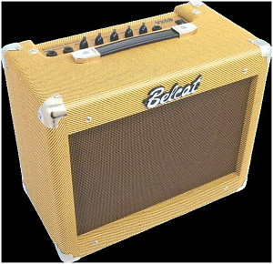 BELCAT V25B - Комбоусилитель для бас-гитары