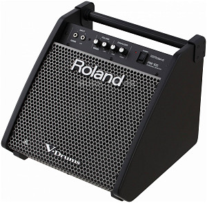 ROLAND PM-100 - Сценический монитор