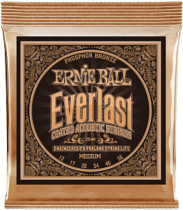 ERNIE BALL 2544 Everlast Coated Phosphor Bronze Medium 13-56 - Струны для акустической гитары