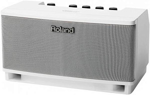 ROLAND CUBE LITE Monitor - Комбоусилитель для акустической гитары