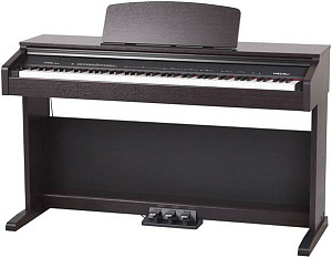 MEDELI DP250RB Цифровое пианино