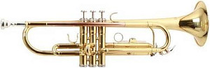 ROY BENSON TR-101 - Труба