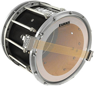 EVANS SS14MS3C - Пластик 14"