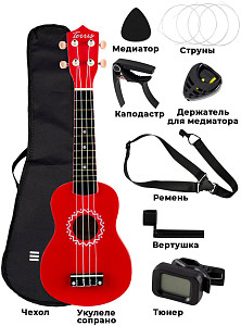 TERRIS JUS-10 PACK RD - Укулеле