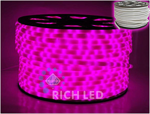 RICH LED RL-DL-2WHM-100-240-P - Дюралайт