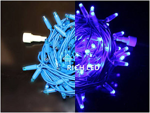 RICH LED RL-S10C-24V-RB/B - Гирлянда