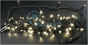 RICH LED RL-S10C-24V-WW - Гирлянда
